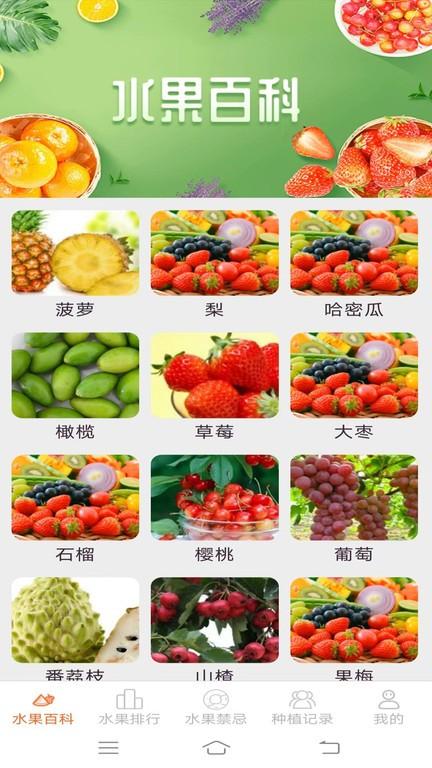 果果多点app下载,果果多点,水果app,百科app